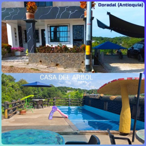 Parcela - Casa del árbol